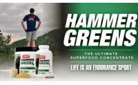 HAMMER GREENS - Der ultimative Superfood Mix